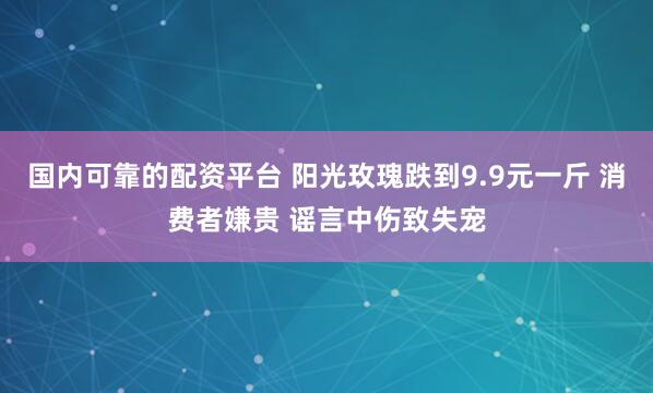 国内可靠的配资平台 阳光玫瑰跌到9.9元一斤 消费者嫌贵 谣言中伤致失宠