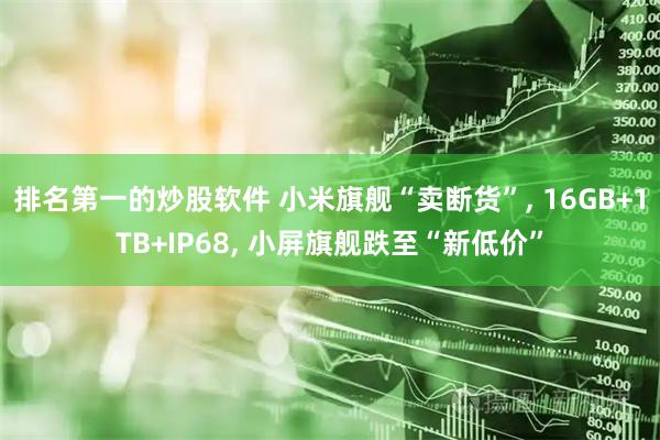 排名第一的炒股软件 小米旗舰“卖断货”, 16GB+1TB+IP68, 小屏旗舰跌至“新低价”