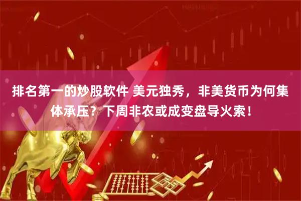 排名第一的炒股软件 美元独秀，非美货币为何集体承压？下周非农或成变盘导火索！