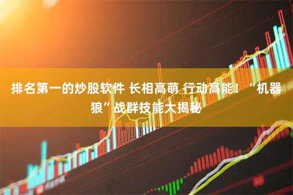 排名第一的炒股软件 长相高萌 行动高能！“机器狼”战群技能大揭秘