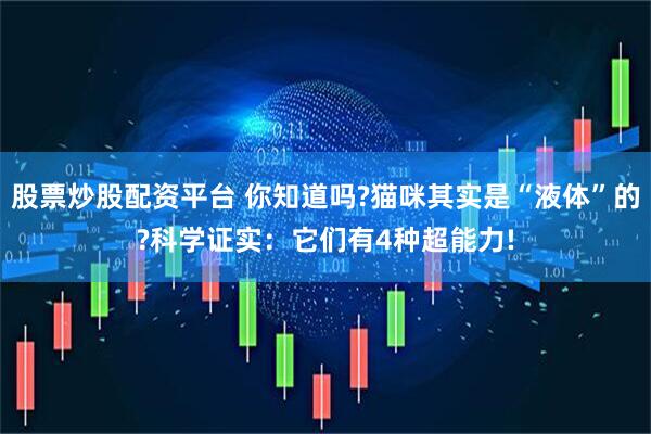 股票炒股配资平台 你知道吗?猫咪其实是“液体”的?科学证实：它们有4种超能力!